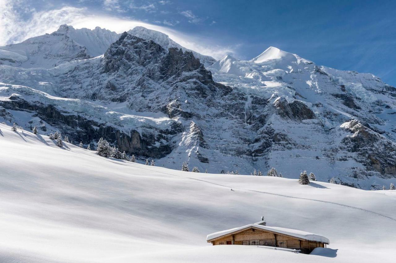 Ferienwohnung Haus Bel Air Wengen Exterior foto